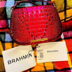 BRAHMIN ROSE OMBRÉ , SMALL NADINE Crossbody . EXCELLENT CONDITION
